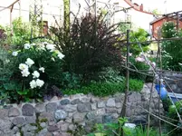 DSCF0086_30_1.webp
