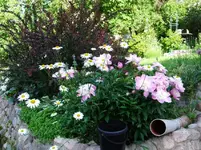DSCF0090_34_1.webp