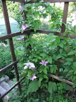 DSCF0079_22_1.webp