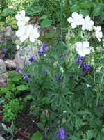DSCF0088_32_1.webp