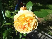 DSCF0073_15_1.webp