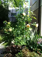 DSCF0095_39_1.webp