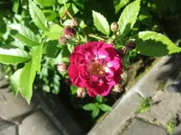 DSCF0074_16_1.webp