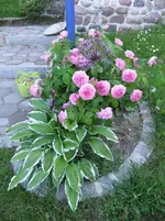 DSCF0081_r1_25_1.webp