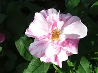 DSCF0092_36_1.webp