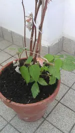 IMAG1024.webp