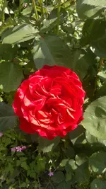 2013-06-18-1919.webp