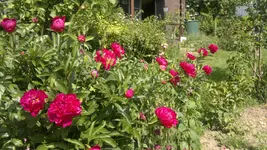 2013-06-18-1928.webp
