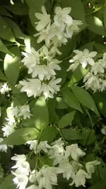 2013-06-16-1880.webp