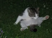 dscn2335_hf.webp