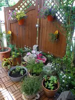 Terrasse.webp