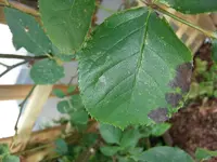 20130619_083040.webp