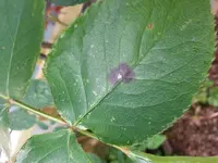 20130619_083049.webp
