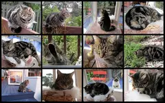 Susie R&S.webp