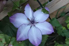 IMG_0500b.webp