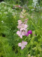 DSCN2236.webp