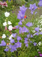 DSCN2228.webp