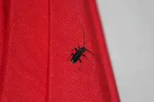 IMG_1251-1.webp