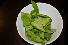 Salat.webp