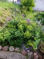 DSCF0099_3_1.webp