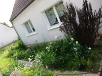 DSCF0100_4_1.webp