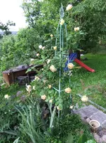 DSCF0101_5_1.webp