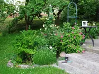 DSCF0106_10_1.webp