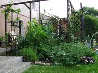 DSCF0107_11_1.webp