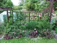 DSCF0105_9_1.webp