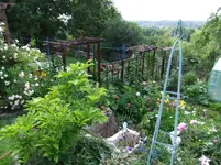 DSCF0108_12_1.webp