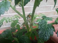 20130620_123651.webp