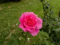 2013-06-20-2050.webp