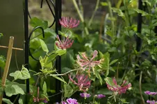 _DSC1890.webp