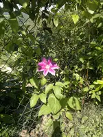 2013-06-19-2008.webp