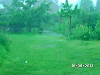 Garten.webp