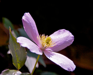 IMG_7922-WM.webp
