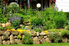 Hangbeet links_Mitte_600.webp