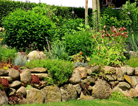 Hangbeet Mitte_rechts_640.webp