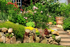 Hangbeet rechts_600.webp