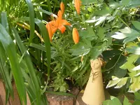Lilien mit Henry 20.6.2013.webp