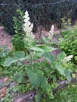 2013-06-19 19.16.02.webp