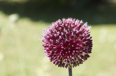 IMG_1906_2.webp