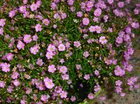 P1060741.webp