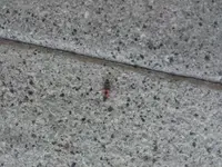 2013-06-19 18.41.17.webp