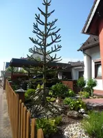 SAM_1257.webp