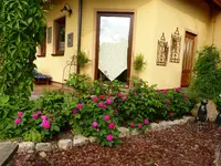 rose de resht.webp