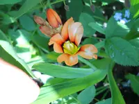 DSCN2249.webp