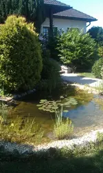 12-3FC6C256-1253720-800.webp