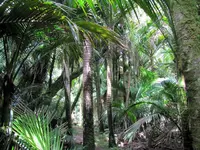 Copy of IMG_0695v.webp