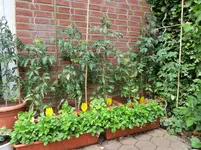 IMG_0127.webp
